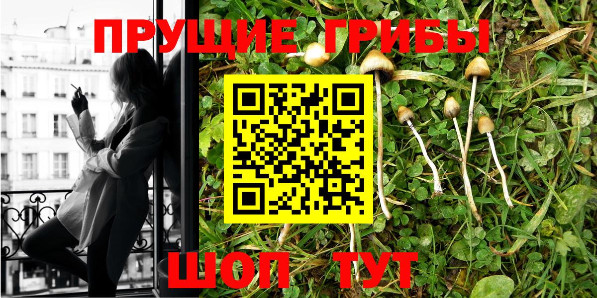 Псилоцибиновые грибы Magic Shrooms Буйнакск
